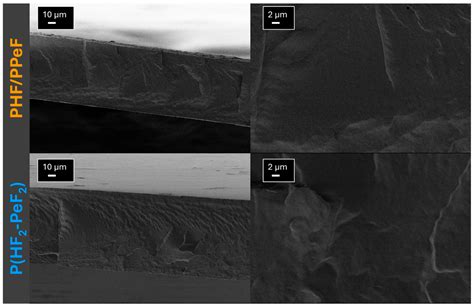 Novel Superelastic Polyesters Based on 2,5-Furandicarboxylic Acid for ...