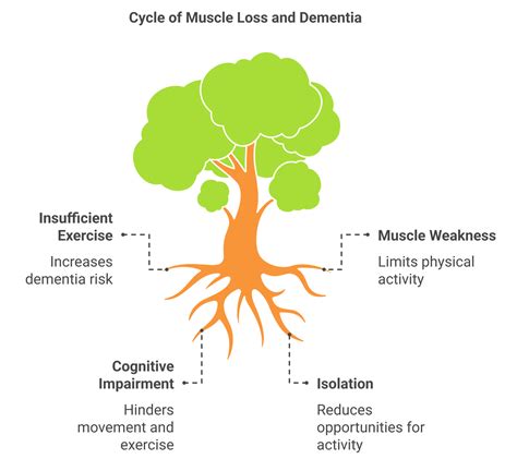 Strengthening the Body and Mind | Muscle Loss Dementia