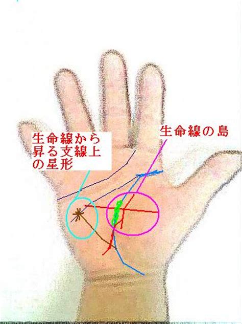 手相 | 開運サプリ