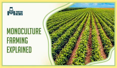 Monoculture Farming- Know About its Pros And Cons
