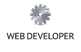 Image result for Chrome Web Developer