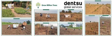 Planting Hope for Future Generations with Dentsu Global Services – Grow ...