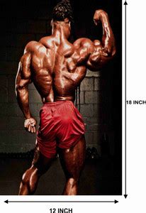 GYM Body Builders Wall Poster For Room With Gloss Lamination M64 Paper ...