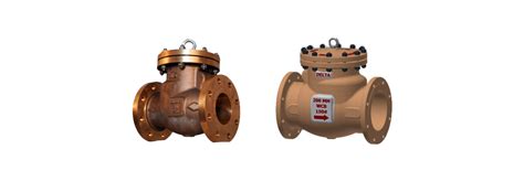 Swing Check Valve