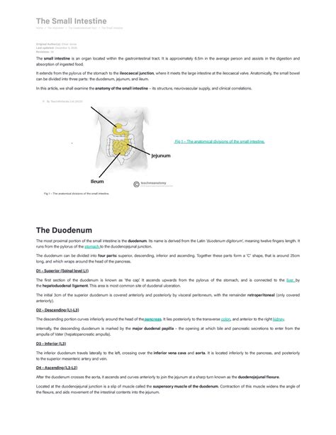 Image result for Duodenum vs Jejunum