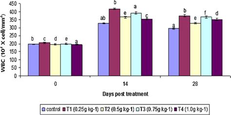 Image result for WBC Count Microscope