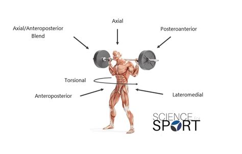 Image result for Force Vector Rotations