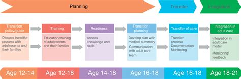 Implementation of programmes for the transition of adolescents to adult ...
