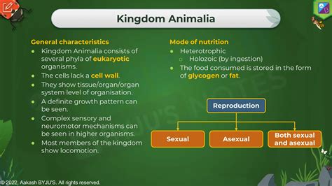 Image result for Using Biological Key Classification System