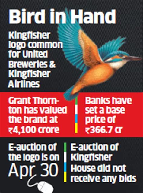 Kingfisher Airlines' lenders put Kingfisher logo on block to recover ...