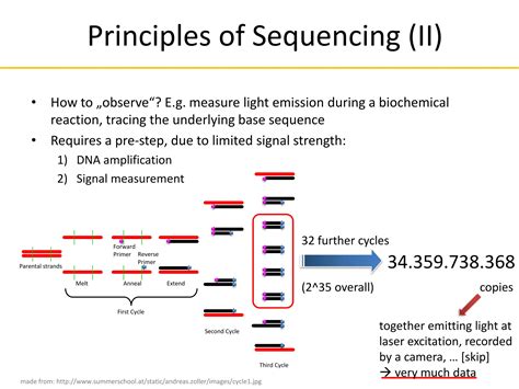 Next Generation Sequencing Introduction 的图像结果