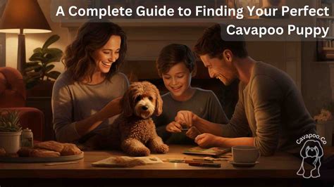 Image result for Cavapoo Dogs 101