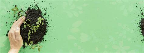 World Environment Day: Sustainability is the Only Choice – Saathi: Eco ...