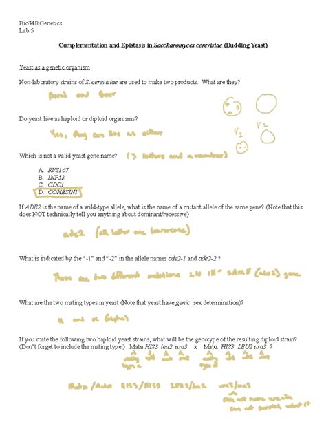 Image result for Complementation Genetics