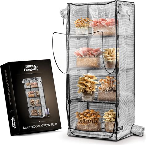 Mushroom Grow Tent, Martha Tent for Mushroom Growing kit, Small ...