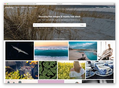 Free Stock Photo Websites 的图像结果
