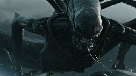 Image result for Prometheus Xenomorph