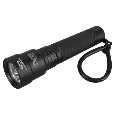 Image result for Diving Torch
