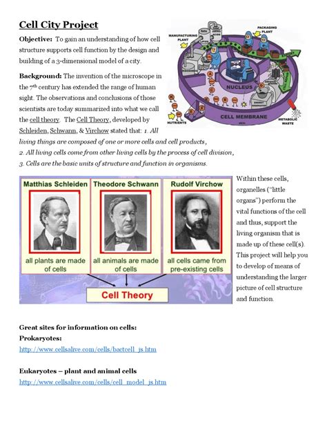 Cell City Project: Building a 3D Model of a Cell and Understanding ...