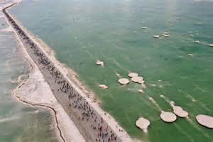 5 everyday habits that make women stronger (and can slow down ageing)