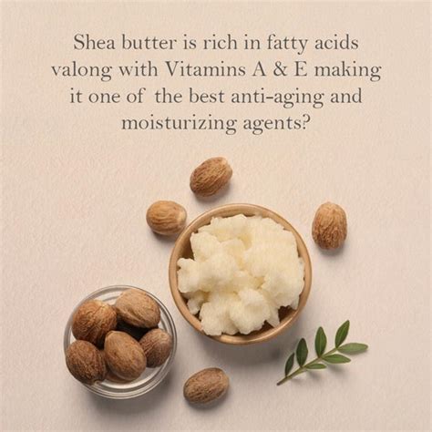 14 Best Moisturizers for Dry Skin | Kama Ayurveda