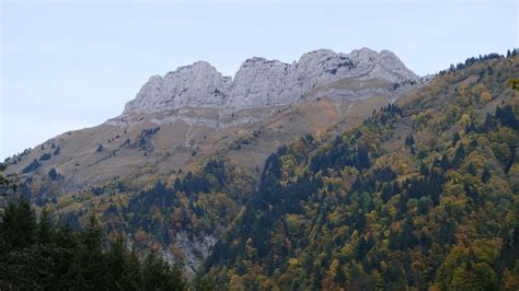 Wallpaper mountain, trees, slope, relief hd, picture, image