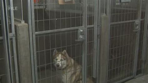 Kobe Bryant Mural Map: Photos, artist info, locations in Los Angeles ...