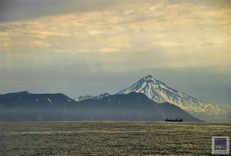 Июльская Камчатка. Морская прогулка » BEST - Все самое лучшее в сети