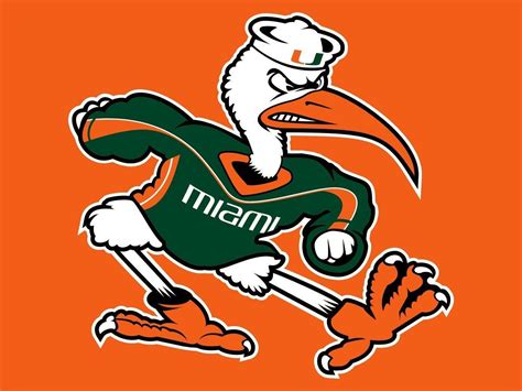 Miami Hurricanes U Jpg 的图像结果