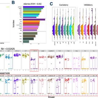 Image result for Cell Type Gene Expression