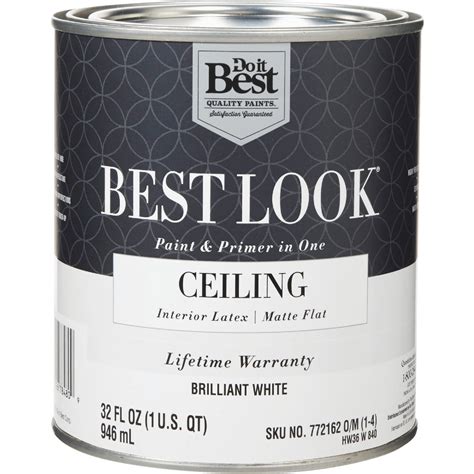 Best Look Latex Paint & Primer In One Matte Flat Ceiling Paint ...