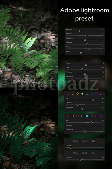 Best 12 Free Lightroom Mobile Preset in 2024 | Lightroom, Free ...