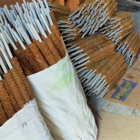 Jual turus sabut kelapa 60cm / tiang penyangga tanaman hias - Kab ...