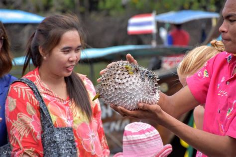 Join In The Mangrove Boat Tour in krabi - Klook India