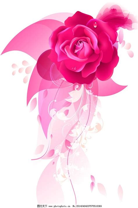 动漫玫瑰花的图片
