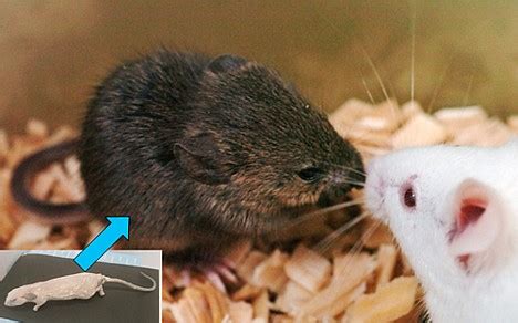 Robot Structural Analysis Tutorial 的图像结果