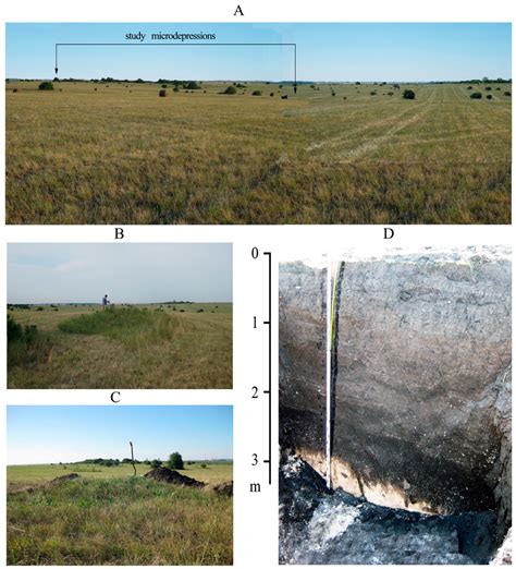 Holocene Environmental and Anthropogenic Changes of Soils and ...