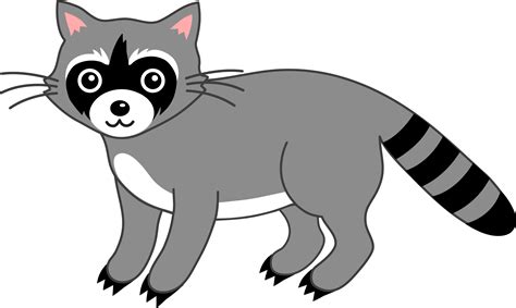 Free Funny Raccoon Cliparts, Download Free Funny Raccoon Cliparts png ...