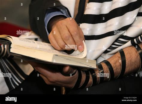 Image result for Torah Reading Tutorial