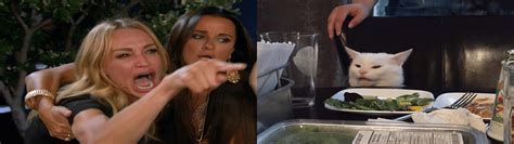 Pointing Meme Wallpapers - Top Free Pointing Meme Backgrounds ...