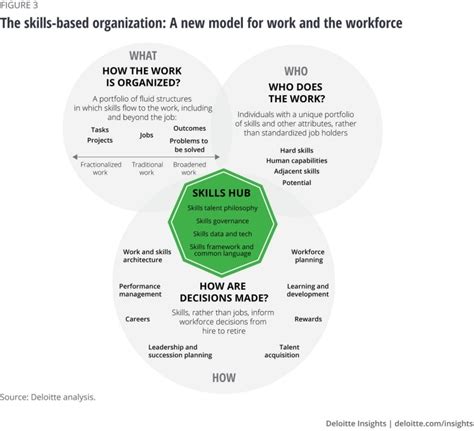 Organizational Insights: Understanding Entities Within The Bermuda Triangle