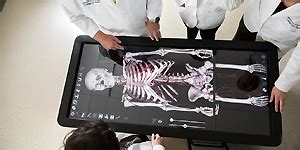 3D Anatomy & Anatomage Virtual Dissection Table in Chennai