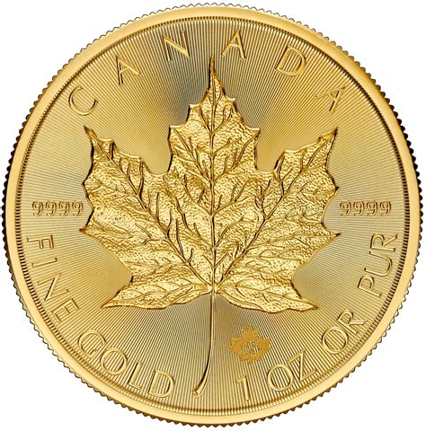 1 oz Silver Maple Leaf - 2024 - RCM - The Coin Hunter