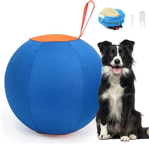 Herding Ball For Border Collies, Herding Ball For Dogs Large ...