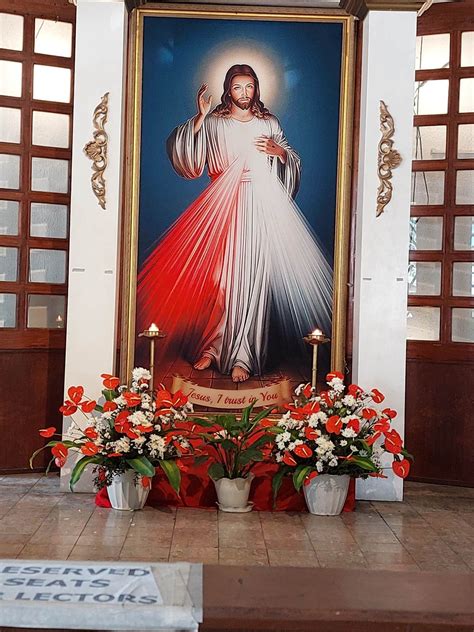 The Marians and the Message of Divine Mercy - Fr. James Cervantes, MIC ...