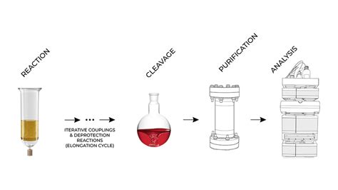 Image result for Solid Phase Synthesis