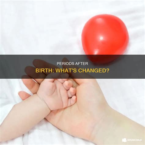 Periods After Birth: What's Changed? | ShunChild