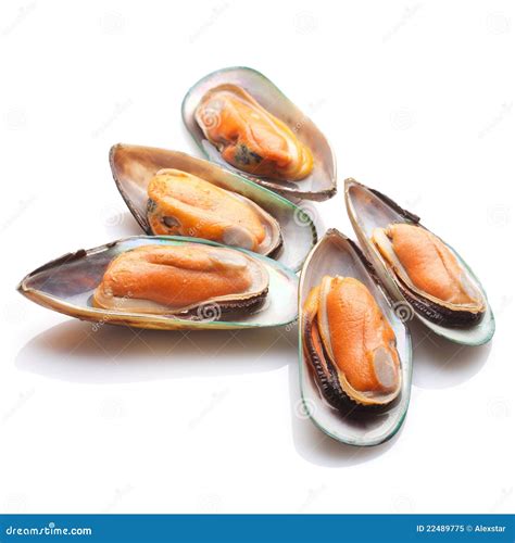 New Zealand Green Mussels stock image. Image of seashore - 22489775