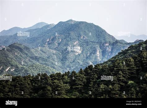 China View 的图像结果