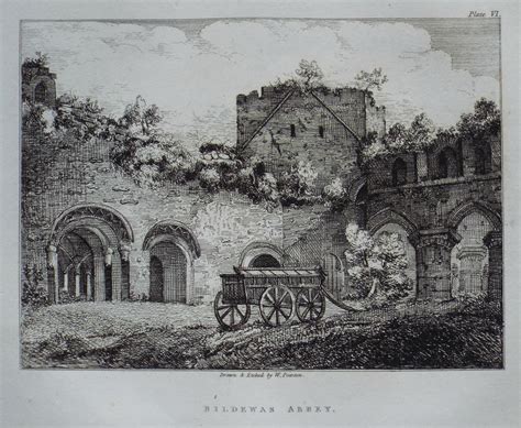 A Selection of Antiquities in the County of Salop, comprising the ...